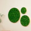 Round Framed Moss Wall Decor, only the Large pc