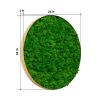 Round Framed Moss Wall Decor, only the Large pc